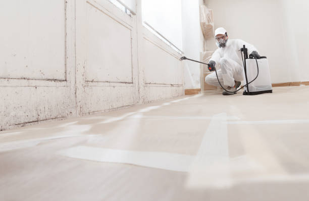 24/7 Emergency Basement Mold Removal experts in Boiling Springs, PA